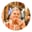 Sowmya S.